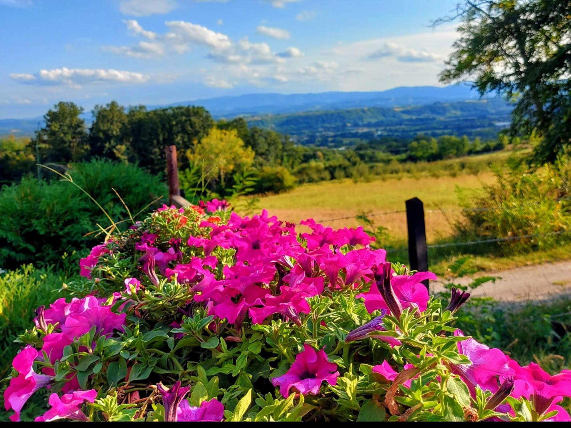 Kuca Za Uzivanje Valjevo Exterior photo